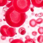 Limfocyty pod mikroskopem - białe krwinki odpowiedzialne za odporność organizmu